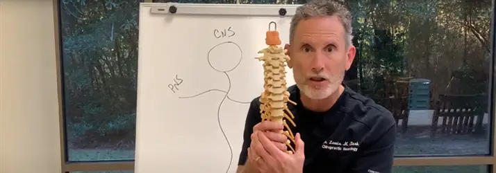 How Do Chiropractors Help In Kingwood TX?